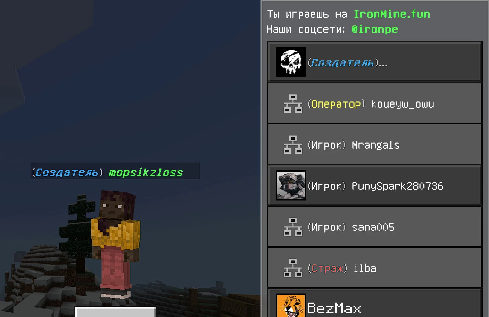 Скриншот 1 сервера mcpe