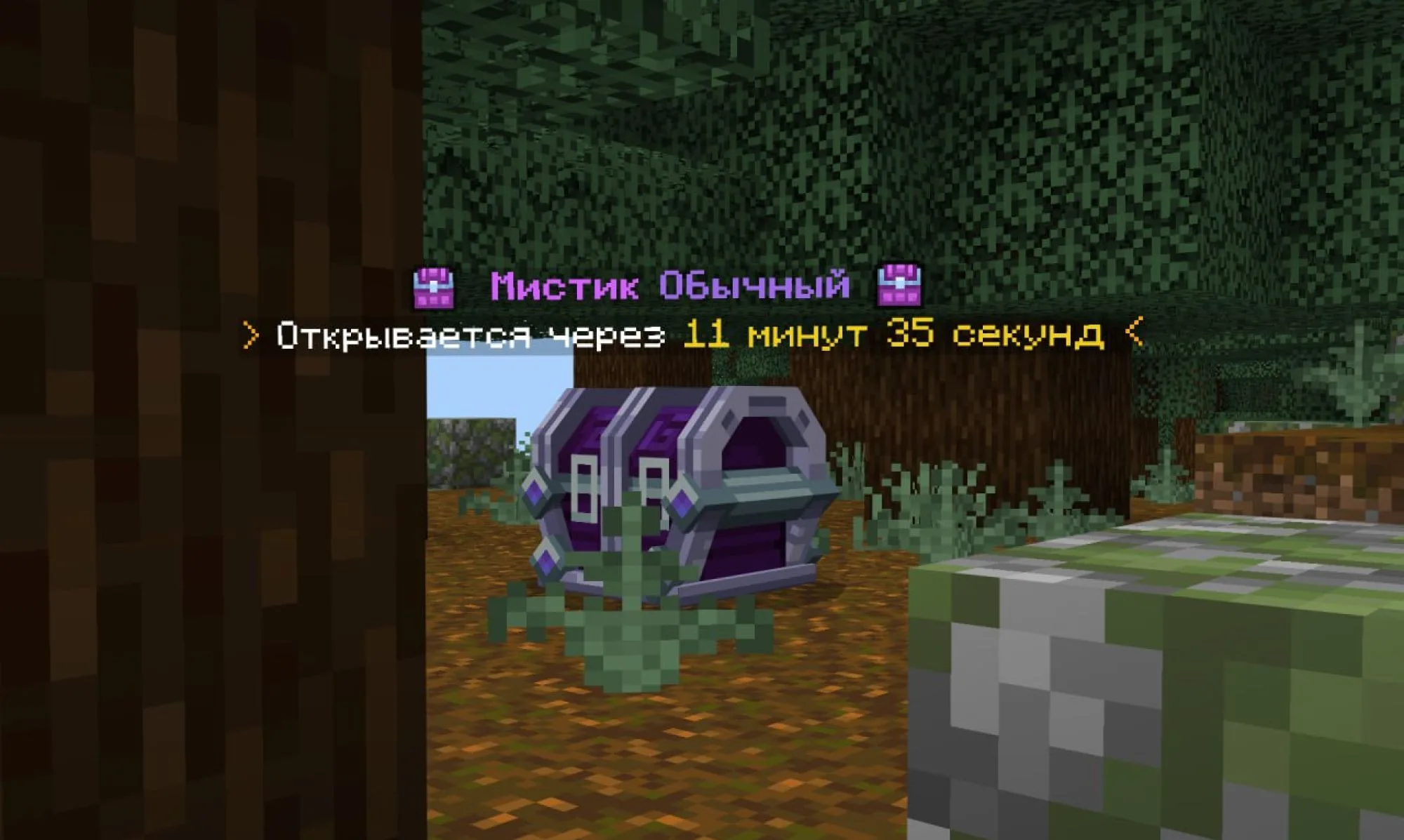 Скриншот 8 сервера cristalix