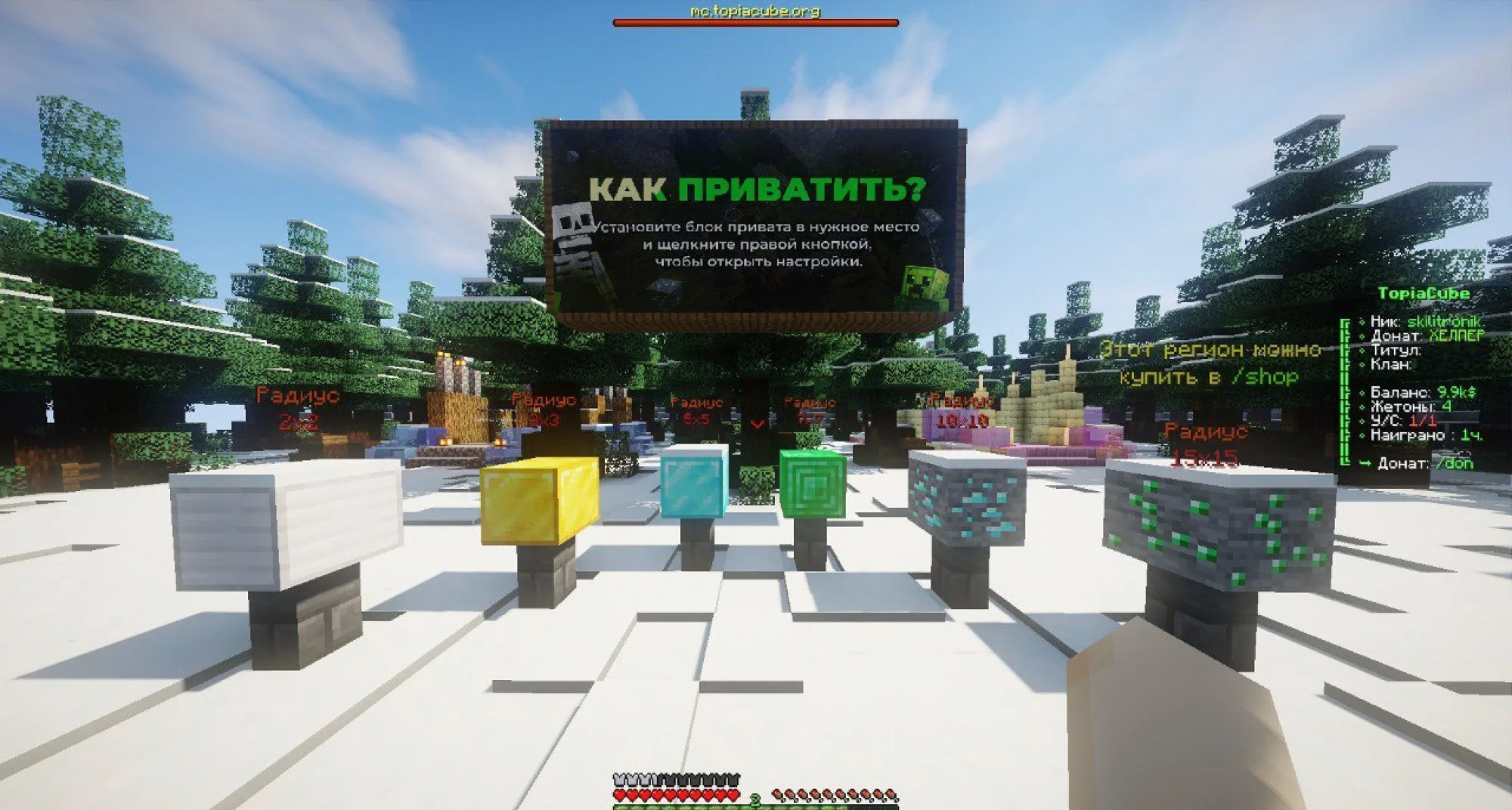 Скриншот 1 сервера Topiacube
