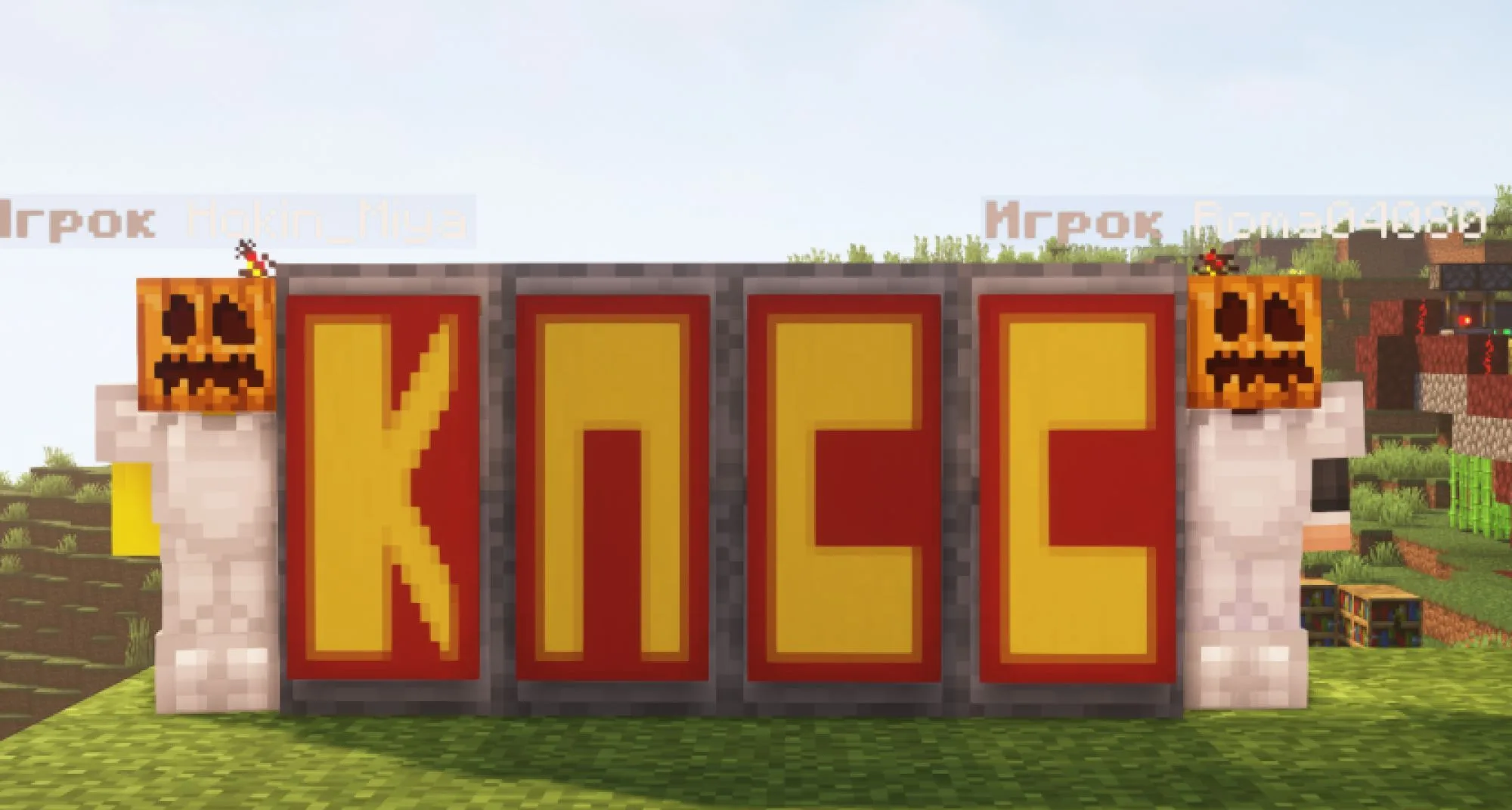 Скриншот 1 сервера Hibuild