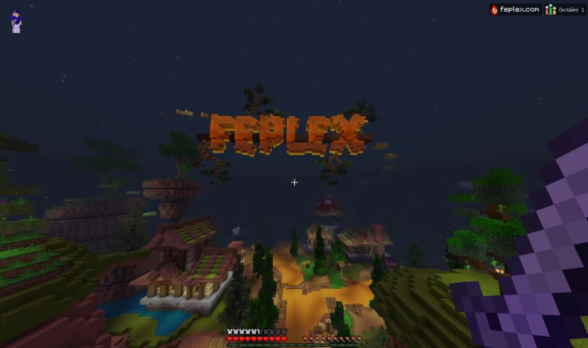 Скриншот 1 сервера Feplex